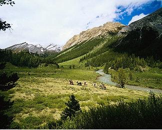 《世界树的迷宫Ⅰ·Ⅱ·Ⅲ HD REMASTER》今日发售！发售纪念活动火热进行中